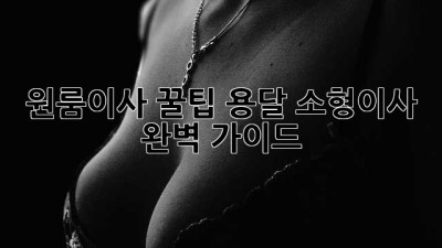 원룸이사 꿀팁🍯 용달🚚 소형이사 완벽 가이드✨